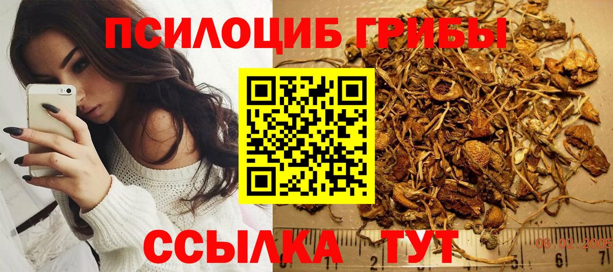 Клинцы  Галлюциногенные грибы GOLDEN TEACHER  Вход с VPN 