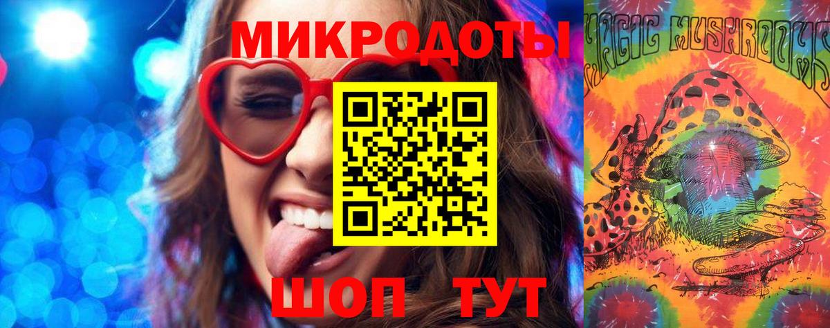 Галлюциногенные грибы Psilocybe Клинцы